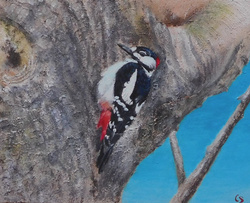 Painting: Great Spotted Woodpecker